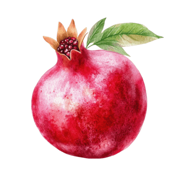 A watercolor pomegranate on transparent background png