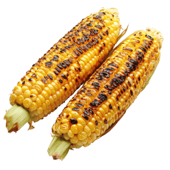 Grilled corn on the cob on transparent background png