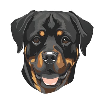 A rotweiler dog is shown on a white background vector