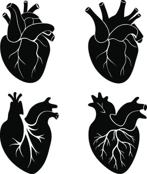 Black Anatomical Heart for Medical Design vector