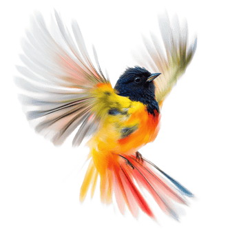 Bird in flight closeup on transparent background png