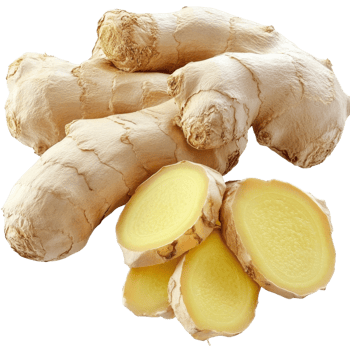 Ginger root and slices on transparent background png