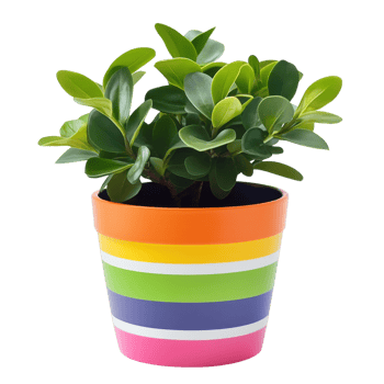 Plant in striped pot on transparent background png