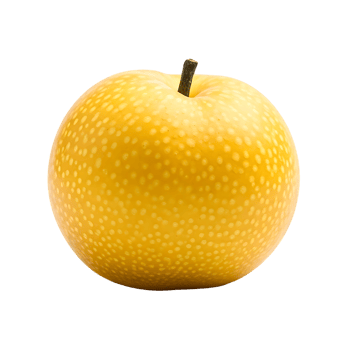 A vibrant and fresh yellow Asian pear with small dotted pattern isolated on transparent background. png