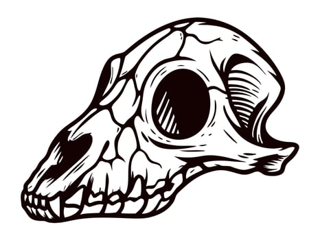 Illustrated animal skull in detailed black and white line art vector