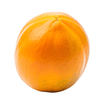 Isolated ripe papaya fruit with a smooth orange skin and transparent background in studio shot. png