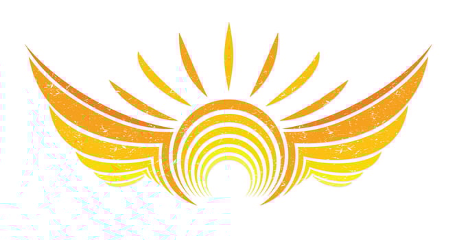Logos stylized wings. vector