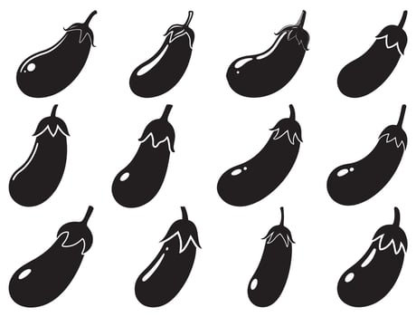 Eggplant silhouette white background vector