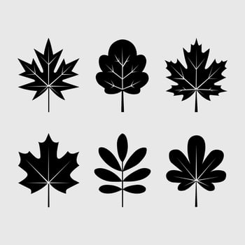 Bundle of decorative leaf silhouettes vector