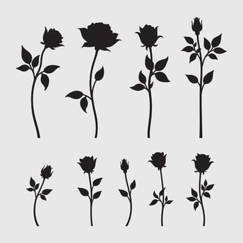 Set of decorative rose with flower vector