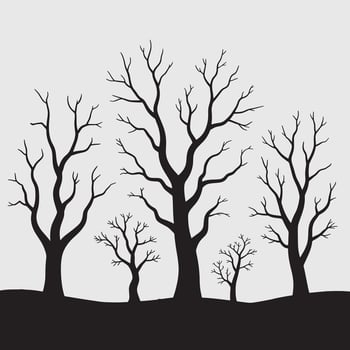 Twisted Bare Trees Silhouetted in a Quiet Forest on White Background vector