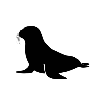 A cute black silhouette of a seal with distinctive whiskers cutouts png