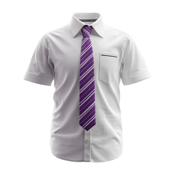 A crisp clean cut white short sleeved dress shirt paired with a stylish purple and white striped necktie forming a professional and well coordinated look png