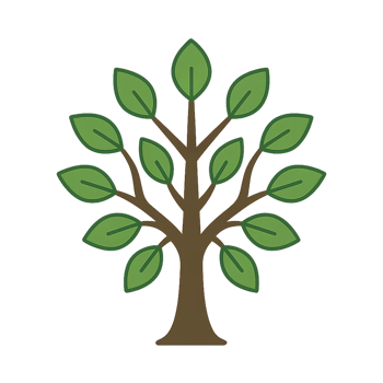 Simple Green Tree with Leaves for Nature and Environment Concepts png