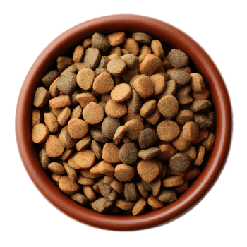 A terracotta clay bowl containing a variety of dry crunchy pet food kibble in various shapes and sizes png