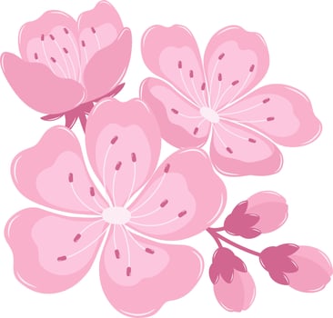 A Bunch of Cherry Blossom Flowers With Buds. Flat and Simple Pink Sakura. vector