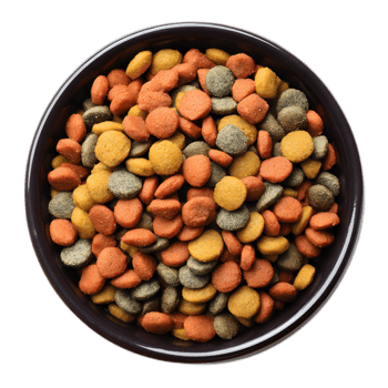 A round black pet food bowl filled with an assortment of dry colorful kibble pieces providing a nutritious meal for a domestic feline png