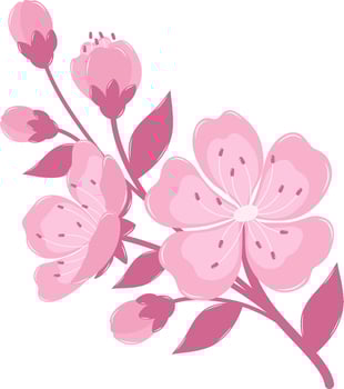 A Blooming Cherry Blossom Flower Branch. Flat and Simple Pink Sakura. vector