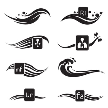 Decorative black and white design elements with musical symbols vector