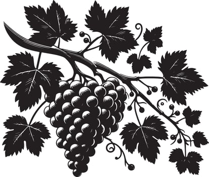A detailed monochrome illustration of a grape vine with leaves and a bunch of grapes vector