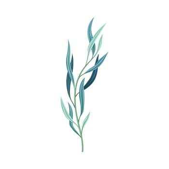 Eucalyptus plant with blue leaves, trendy color floral design element illustration vector