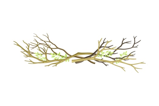 Pile of Bare Tree Branch Rested Together Illustration vector