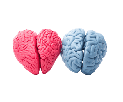Interconnected pink and blue brain shapes representing unity png