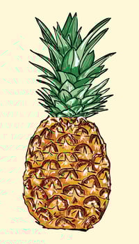 Colorful Pineapple Fruit Illustration vector