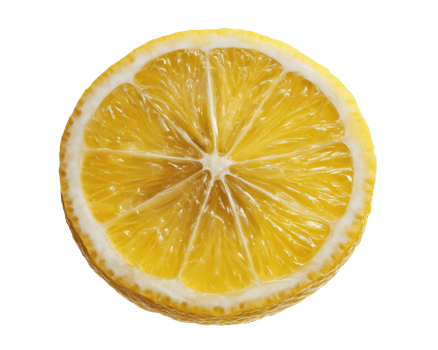 Fresh lemon slice for culinary use and beverage decoration png