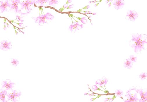 Hand drawn watercolor cherry blossom branch frame border. Illustration of flowers Can be used for business card, scrapbook and other printed products png