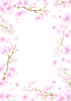 Hand drawn watercolor pink cherry blossom postcard frame border. Can be used for card, invitation, front page and other printed products. png