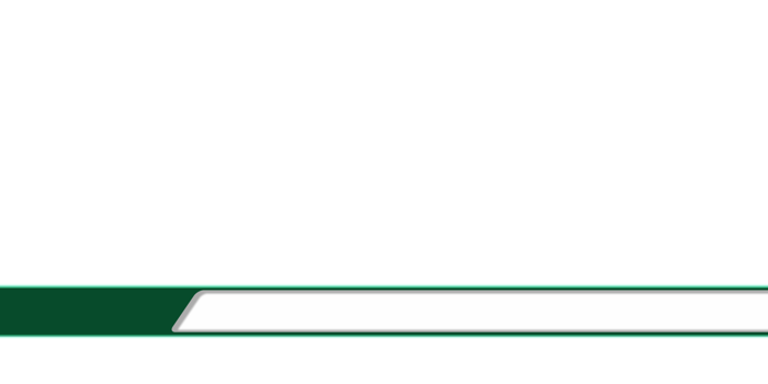 Lower Thirds for Social Media Transparent Background png