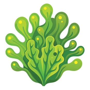 Algae clipart isolated on white background vector