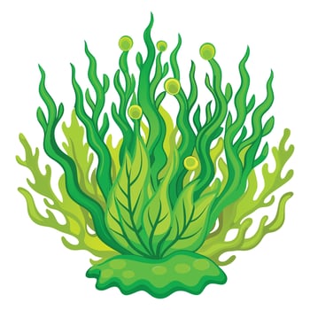 Algae clipart flat design isolated on white background vector
