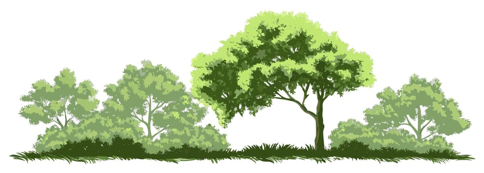 Green Trees Landscape Illustration, Nature Scene vector