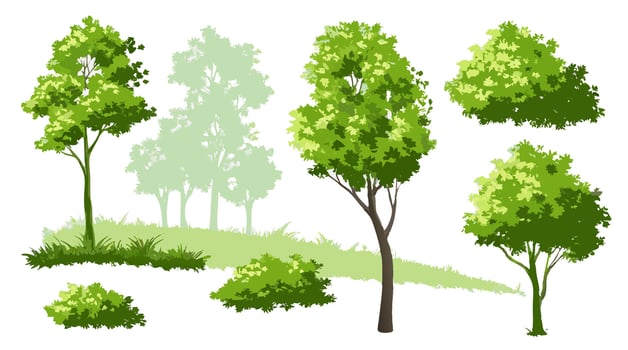 Collection of Green Trees and Bushes Landscape Design Elements vector