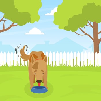 Cute Dog Eating Dog Food on Lawn in Backyard on Beautiful Summer Landscape Flat Illustration vector