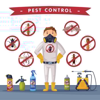 Professional Home Pest Service Banner Template, Detecting, Exterminating and Protecting Illustration vector