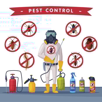 Pest Control Service Banner Template, Detecting, Exterminating and Protecting Illustration vector