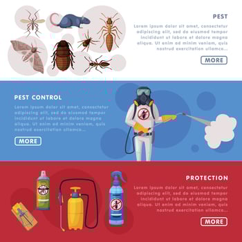 Pest Control Service Horizontal Banners Set, Detecting, Exterminating and Protecting Landing Page Templates, Website, App, Homepage Illustration vector