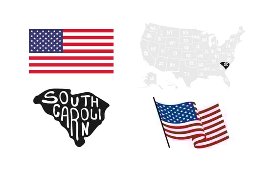 South Carolina State. USA flag. Map of the USA vector