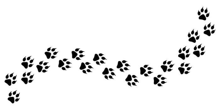 Dog footprints. Simple style vector