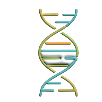 DNA Helix 3D Icon Cartoon Style Science and Biology Symbol png