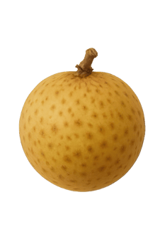 Whole Langsat Fruit Isolated on Transparent Background, png