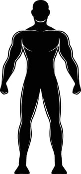 Muscular male silhouette fitness bodybuilder strong vector