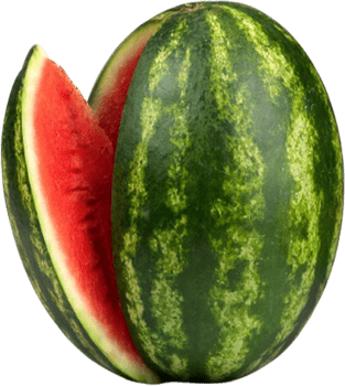 Fresh ripe watermelon slice on showing juicy red fruit png
