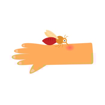 Printleishmania disease concept. sandfly bite vector