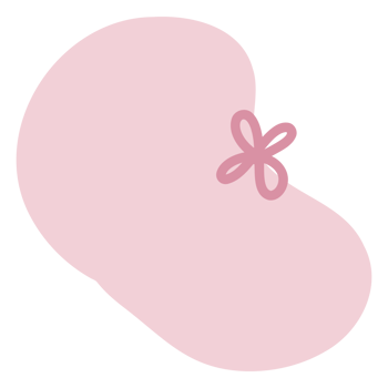 Shape with bow png
