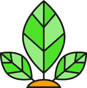 Leaves and Plant Icon png