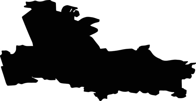 Demyansky District Russia silhouette map vector